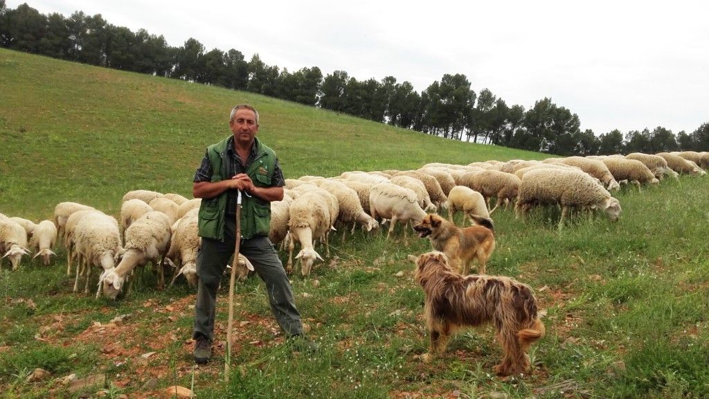 FOTO JOSE VIDAL LANGA (2)